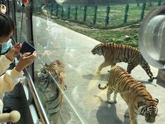 -西安秦岭野生动物园