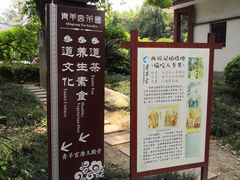 -青羊宫