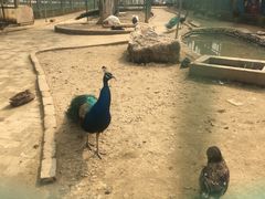 -武汉紫薇都市田园