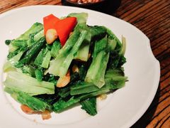 油麦菜-天元奎饭店(总店)
