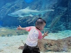 -海合安武汉极地海洋公园