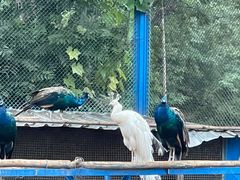 -森林公园(尖草坪区)