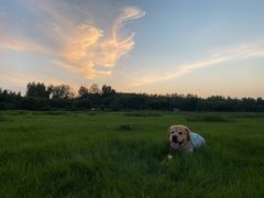 -芭比堂动物医院·犬猫全科·异宠专科(雁塔分院)