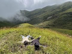 -萍乡武功山风景名胜区