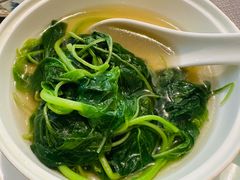 -润苑(徐汇店)