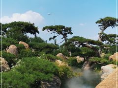 -罗红摄影艺术馆