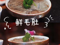 毛肚-红鼎坊·老成都火锅(新南门店)