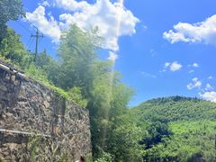 -莫干山风景区
