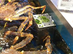 -芦潮港集贸市场