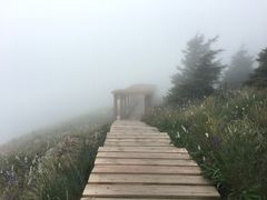 -白草畔自然风景区