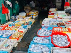 -芦潮港集贸市场