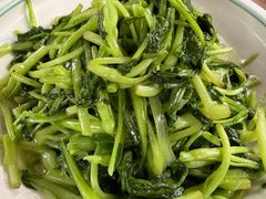 -小小饭店·休闲农庄·安吉松树林里的农家菜