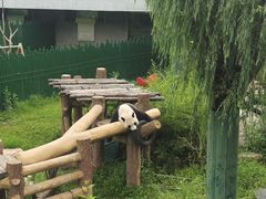 -沈阳森林动物园