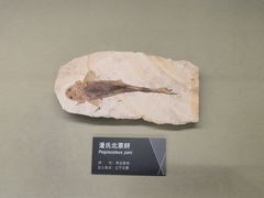 -山东博物馆