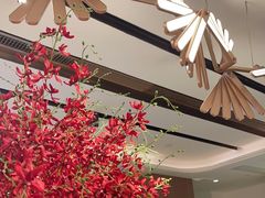-望湘园·小雅(德基店)