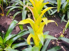 -北京植物园-展览温室