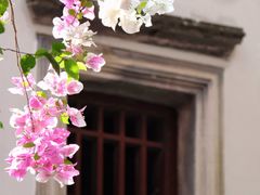 -深圳国际园林花卉博览园