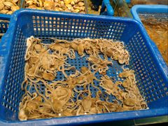 -渔傅·霞浦滩涂海鲜(建平店)