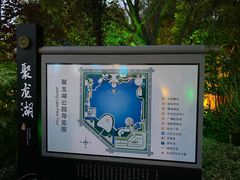 -聚龙湖公园