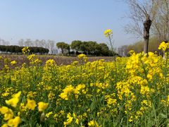 -瑶湖郊野森林公园