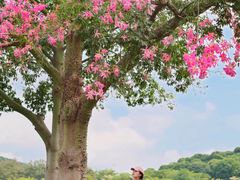 -东莞植物园