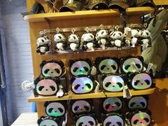 -熊猫屋(宽窄巷子景区店)