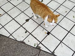 -旅顺博物馆