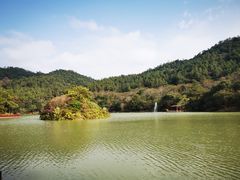 -广州白江湖森林公园