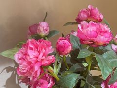 -宫事颐庭·老佛爷贵寿下午茶(颐和园店)