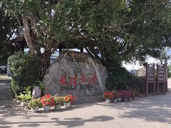 -大理洱源西湖景区