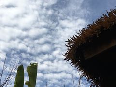 -苏州湾王焰温泉度假酒店