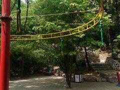 -原山国家森林公园