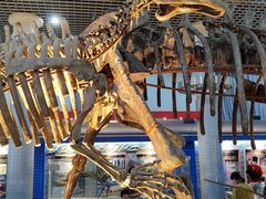 -国家自然博物馆