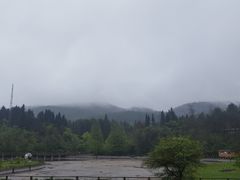 -武陵山森林公园