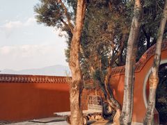 -金鸡山公园