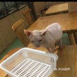 带孩子来体验一次宠物互动体验馆。