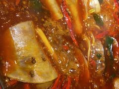 -蜀辣居鲜货老火锅(红牌楼店)