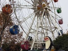 -长乐公园游乐场