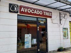 门面-油梨树AVOCADO TREE(顺义新国展店)
