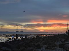 -宝安西湾红树林湿地公园