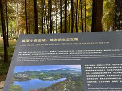 -畔山酒店中餐厅