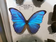 -吉林省自然博物馆