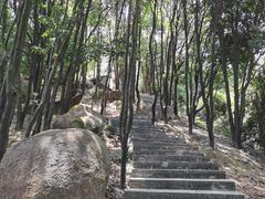 -火炉山森林公园
