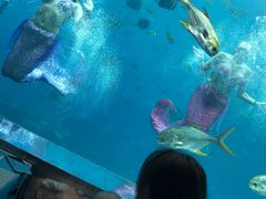 -瑞德姆美人鱼海底演艺主题餐厅(亚龙湾店)