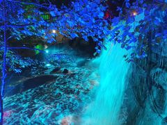 -汤旺河林海奇石景区