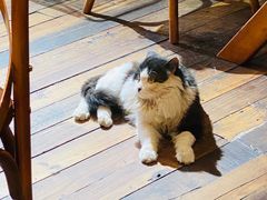 -猫爷的腔调·黔小馆(交大医学住宅区店)