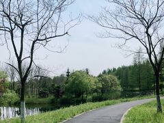 -东平国家森林公园