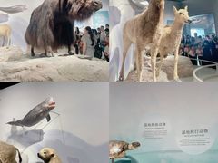 -中国湿地博物馆