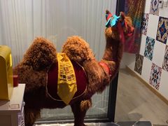 -JOJO实景沉浸侦探剧本杀(大悦城店)