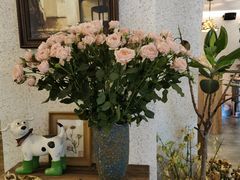 -绿房子方寸咖啡(星海名城店)